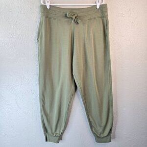 Athleta Balance Jogger Sweatpant Plus Sz 1X Green Stretchy Athletic Pull On Pant